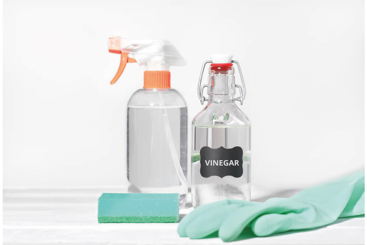 Ventajas de usar botellas recargables con dispensador spray